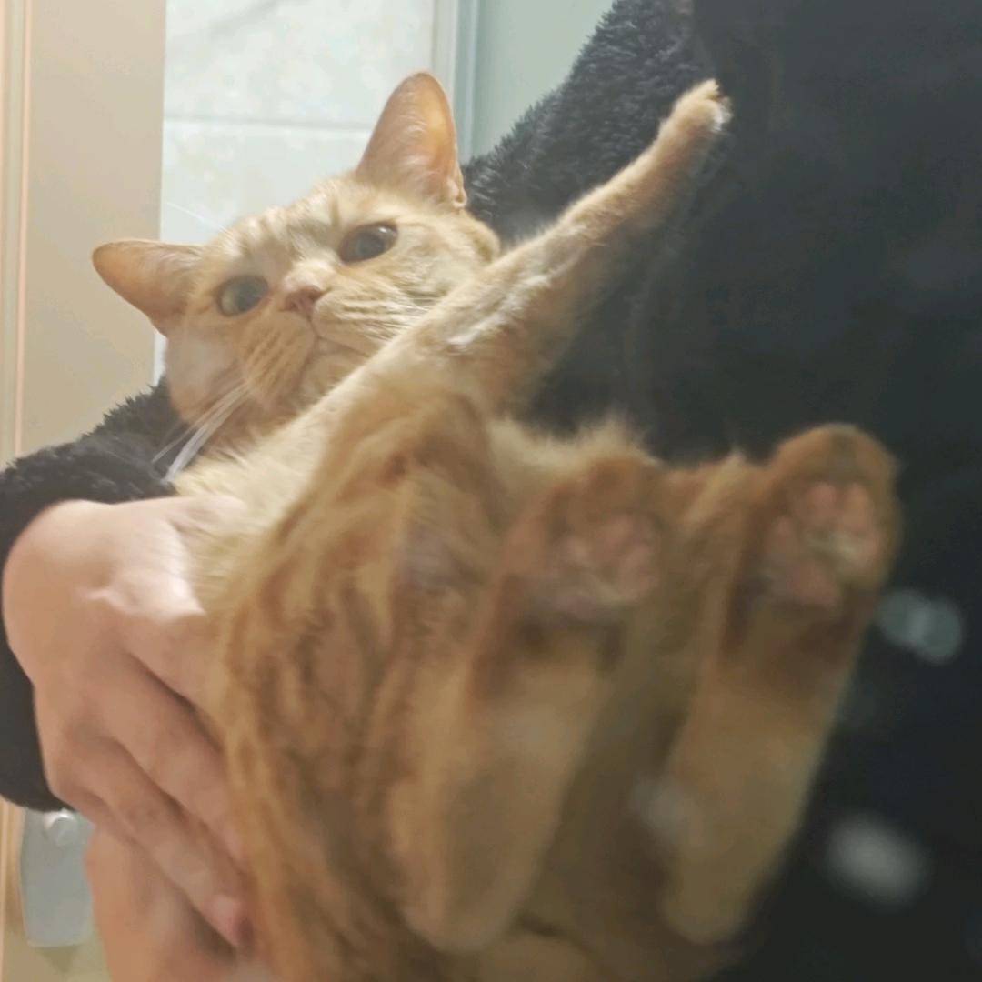 孙慧大王来巡山🐑💨