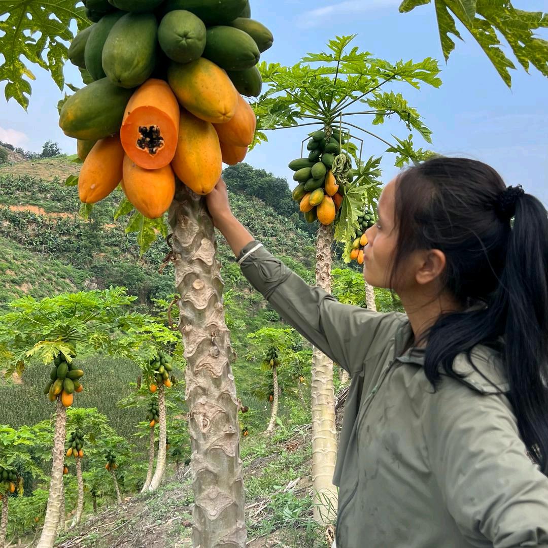 三妹铭凯（生活号）