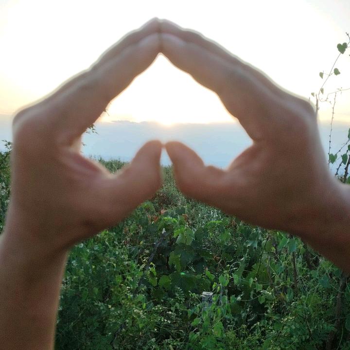 从🌿此 🐯陌꧔ꦿ生᭄🍬