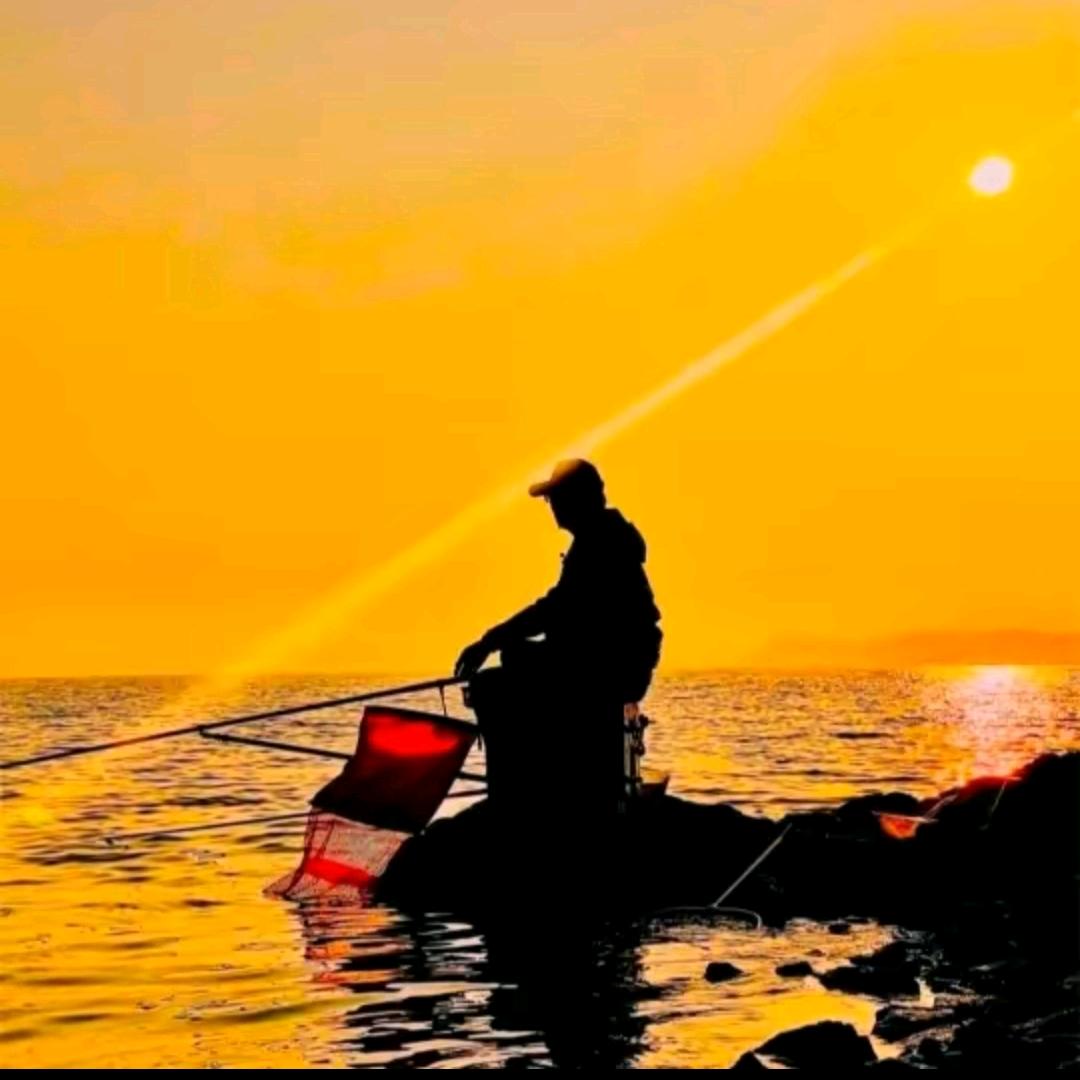 🌈四海钓场🌈