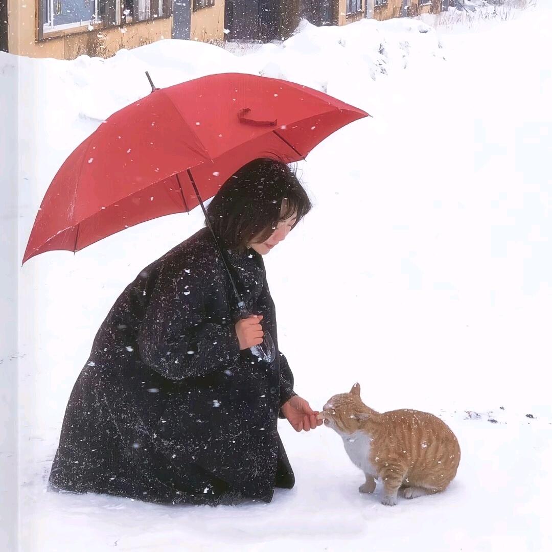 只有睡觉时候不困