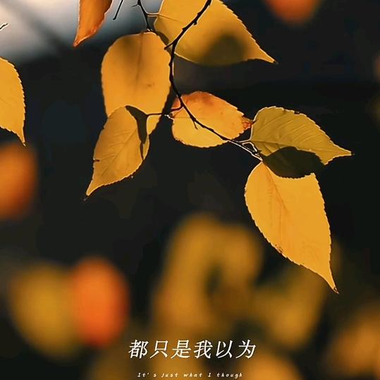 G，军哥