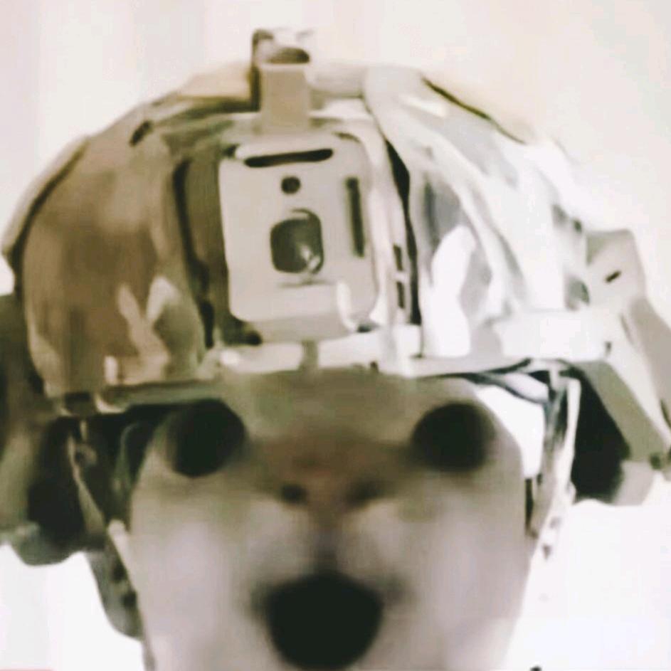 羽柒（三角洲行动）