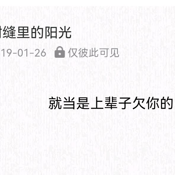 🌈🌈树缝里的阳光