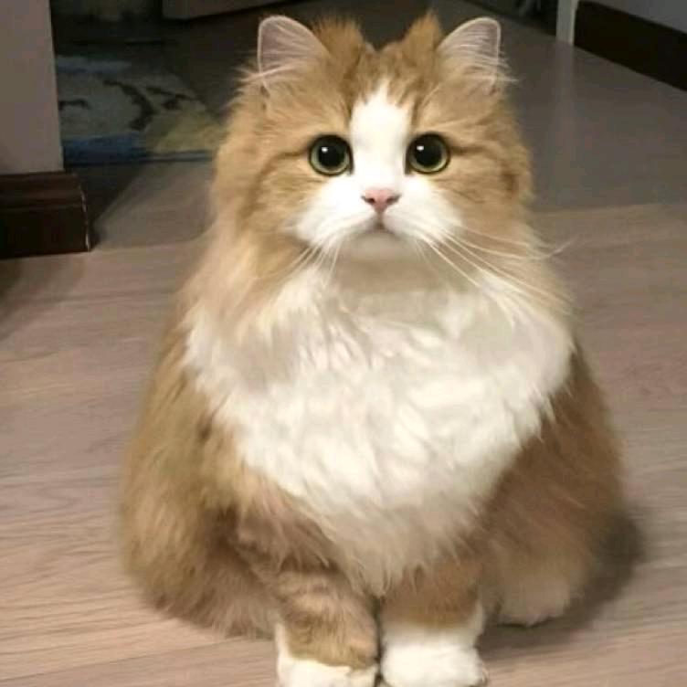 忽晚.