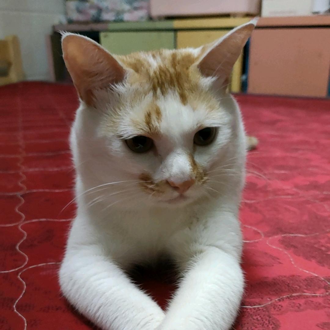 用户1687850002
