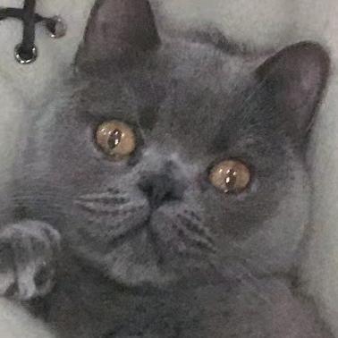 春天♑️