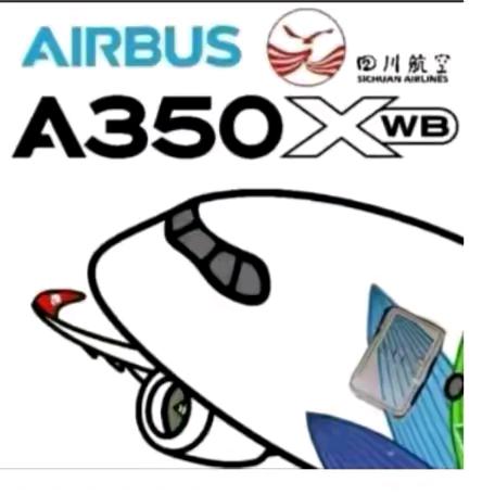 从白云机场跑出来的787