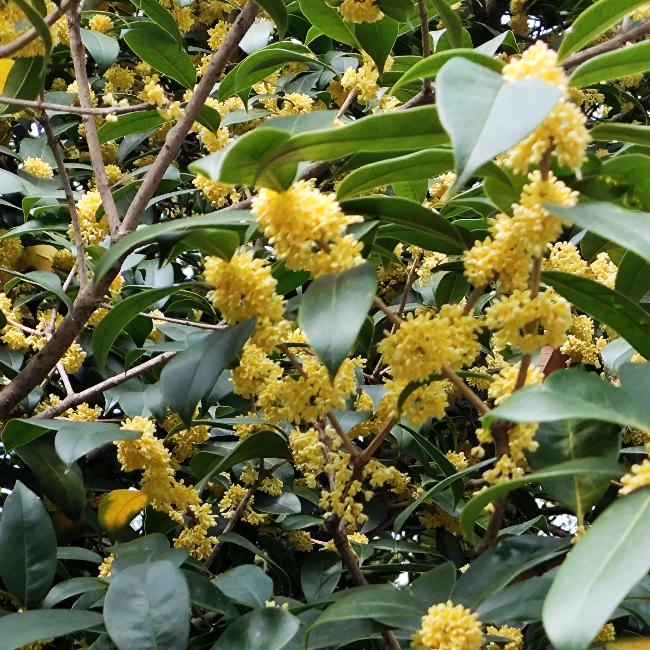 ~(‾⌣‾~)安乐余生Ⓗⓐⓟⓟⓨ❤ヾ(◍