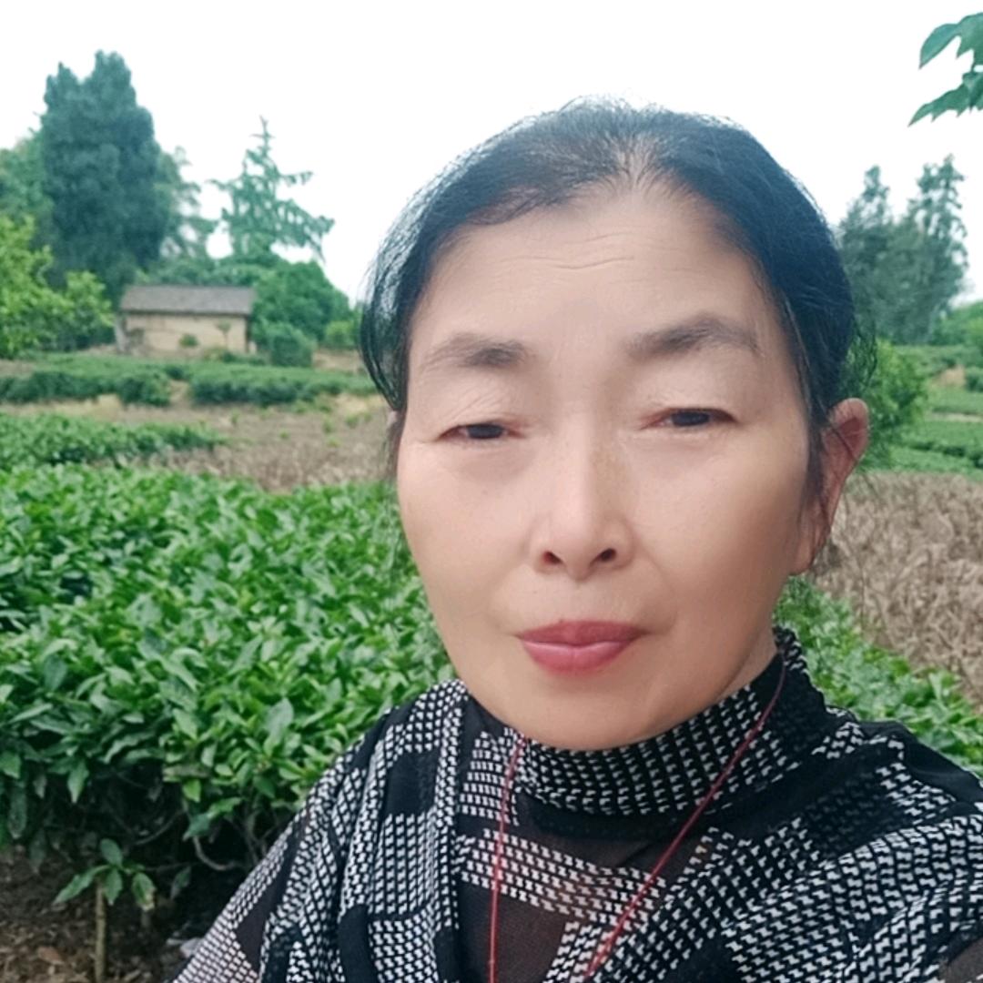 茶园会姐（直播不定时)