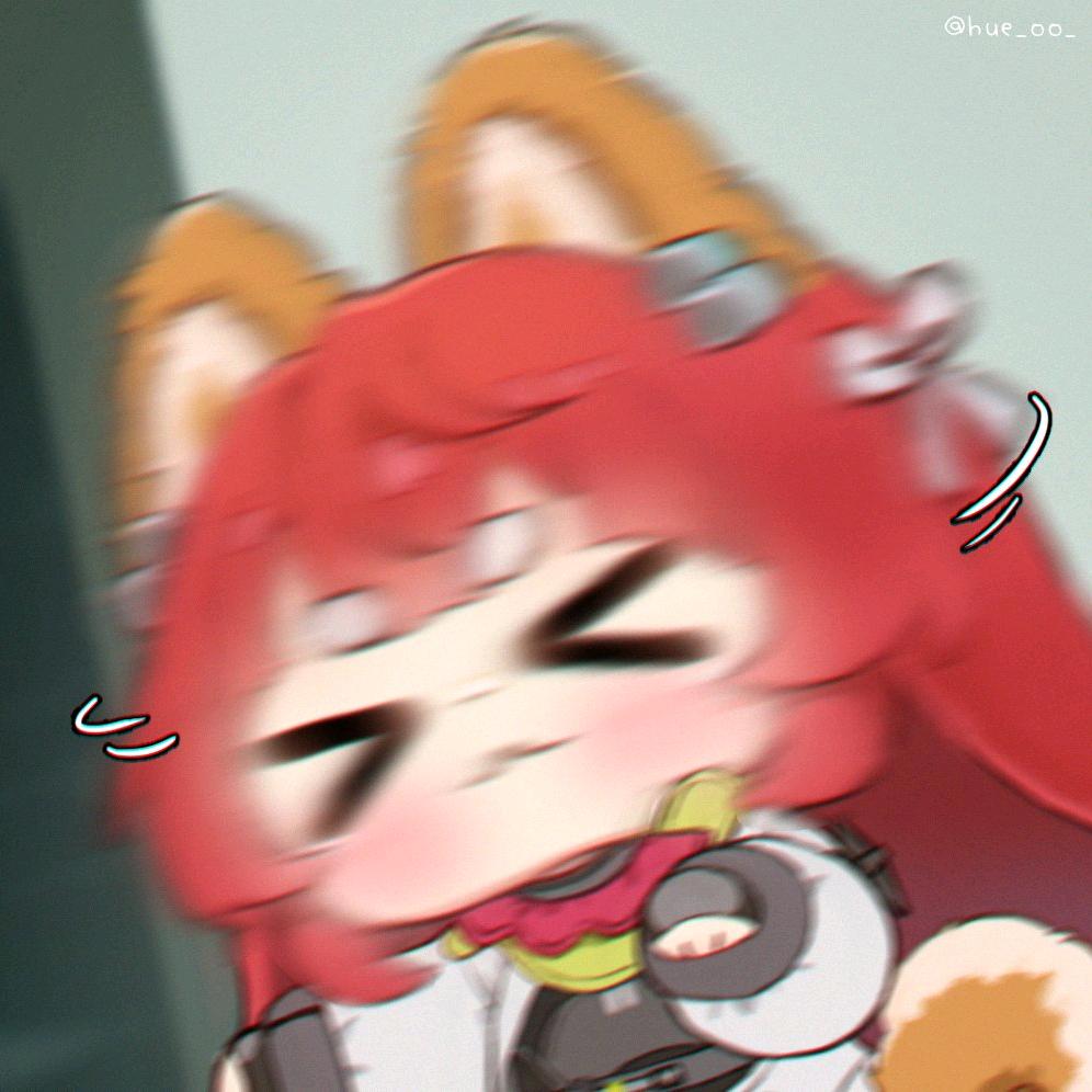 天天躺猫车头像