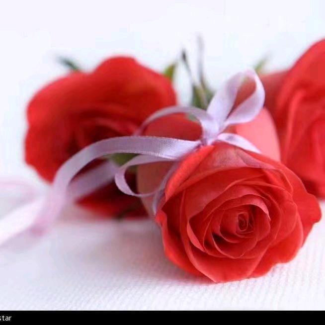 心🍀有🌺所累🌹