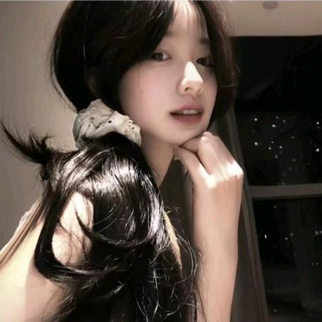 sun雏菊