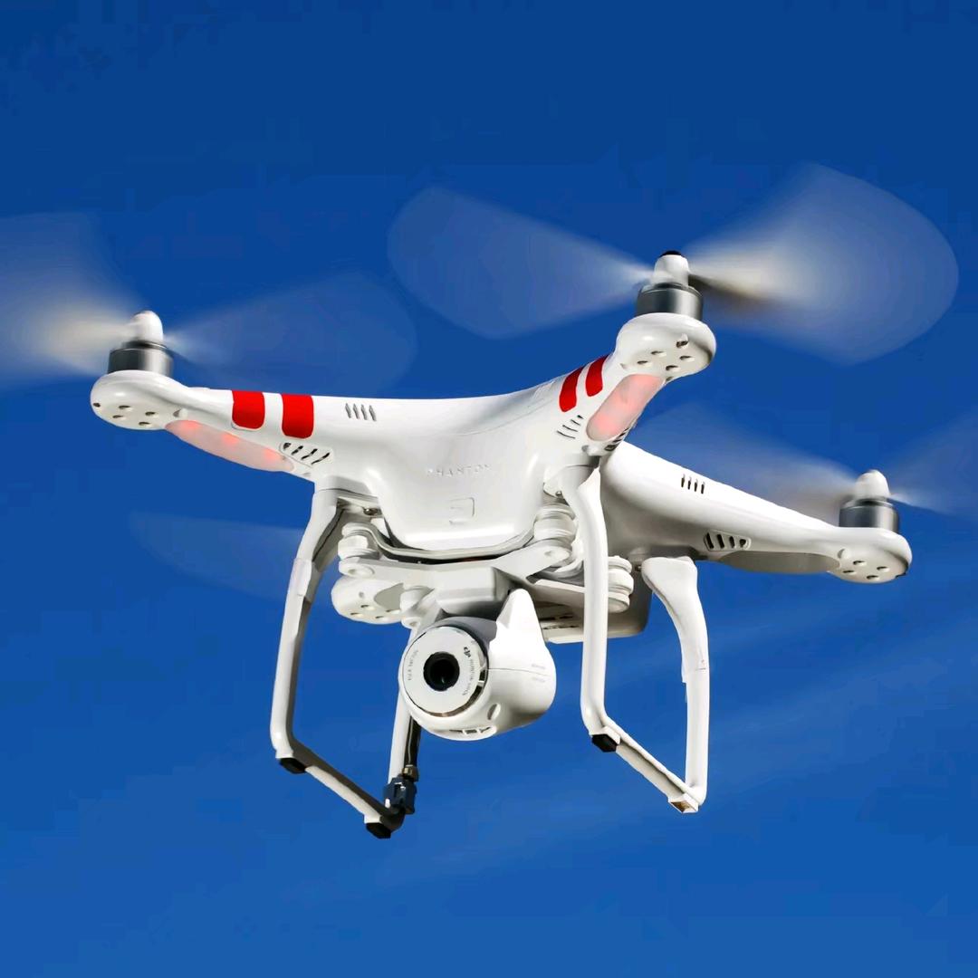 丛林里的死神（拖狗带训）