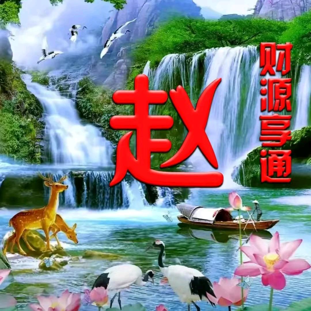 琴