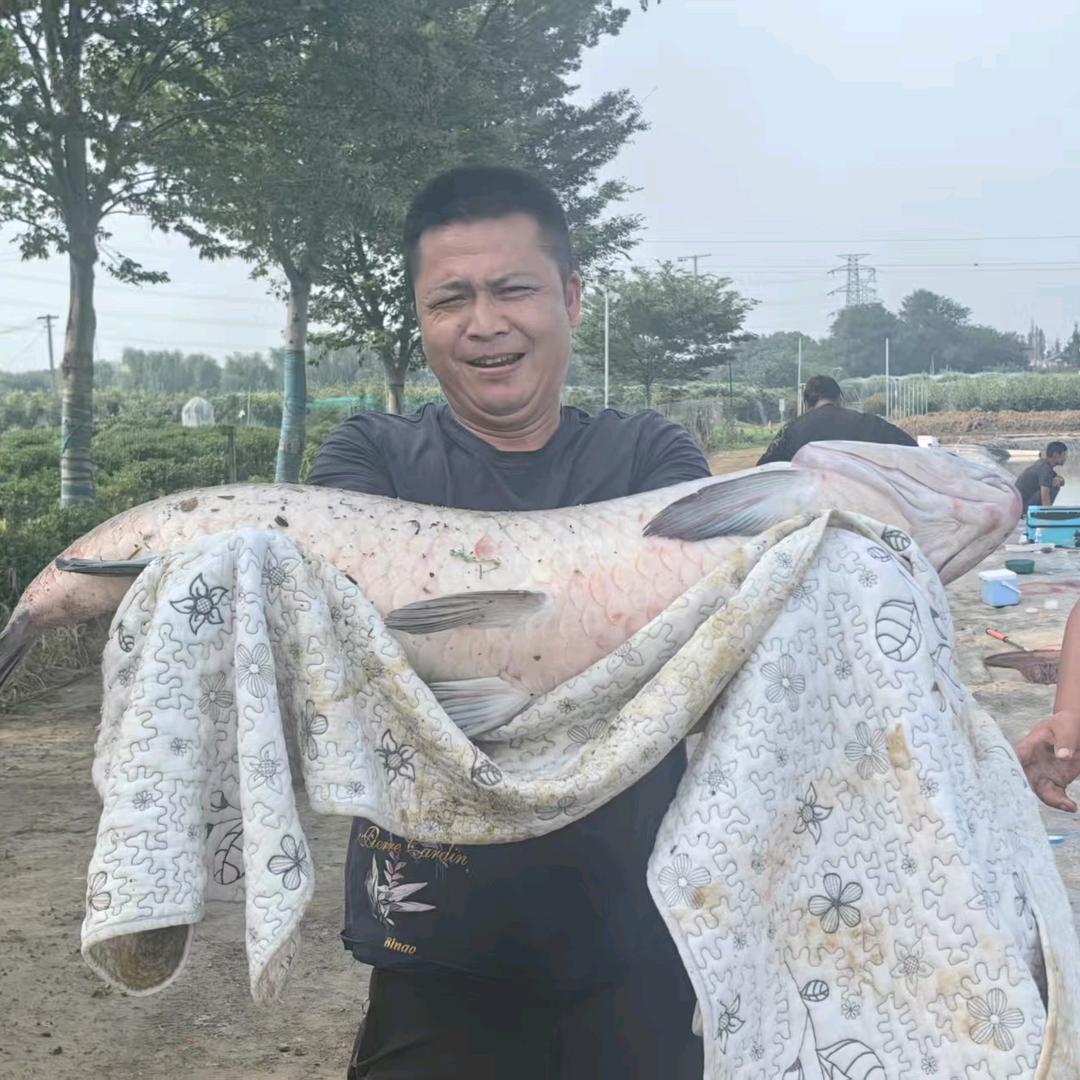 壹鸿农庄