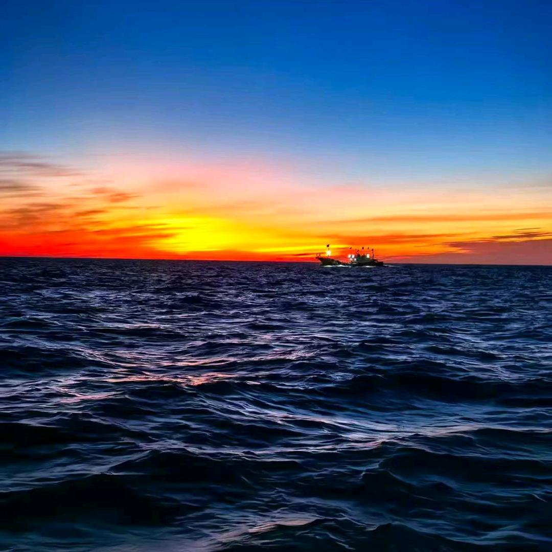 《抖出你的人生》