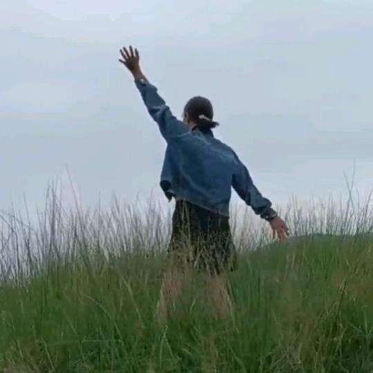 清风暖阳