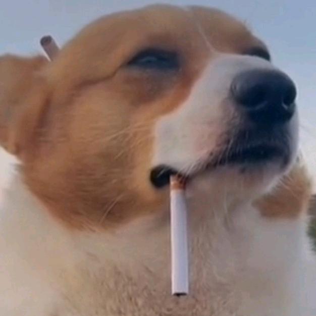 微笑