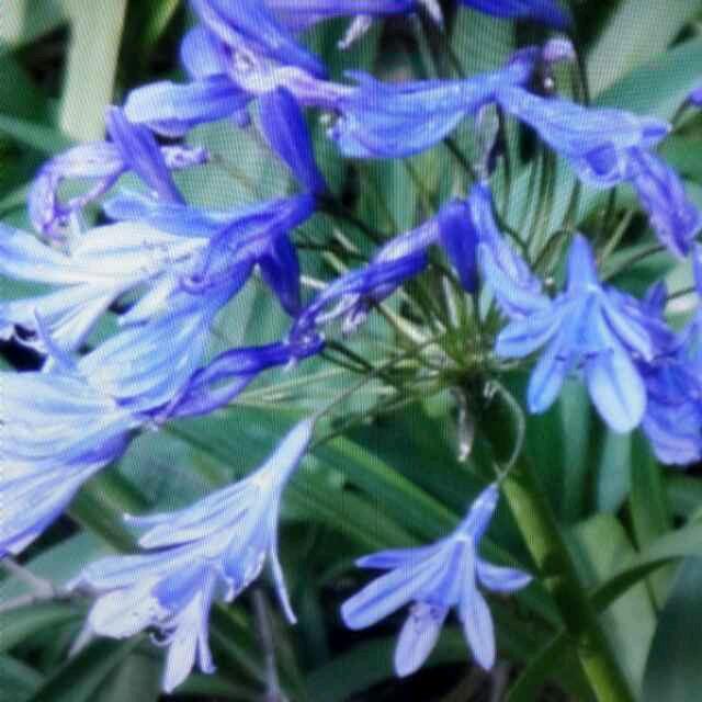 图们市众品电器