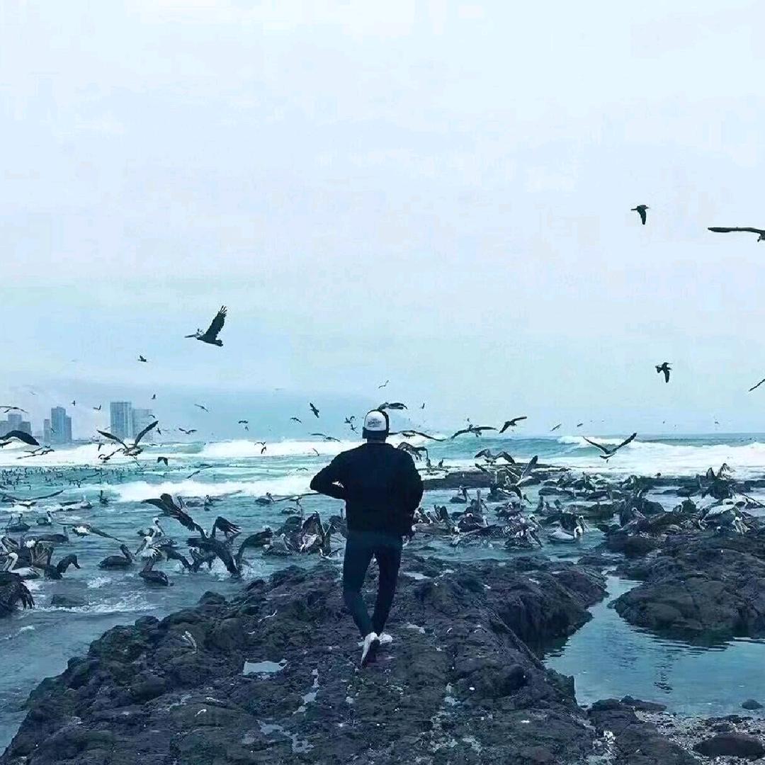 奋斗吧，少年