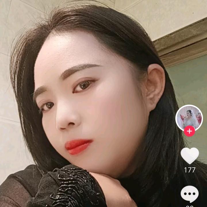 单只蝴蝶