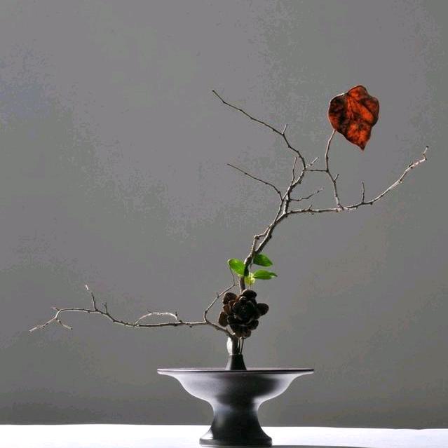 美好自有力量