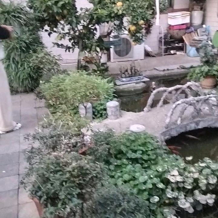握不住的沙不如扬了它