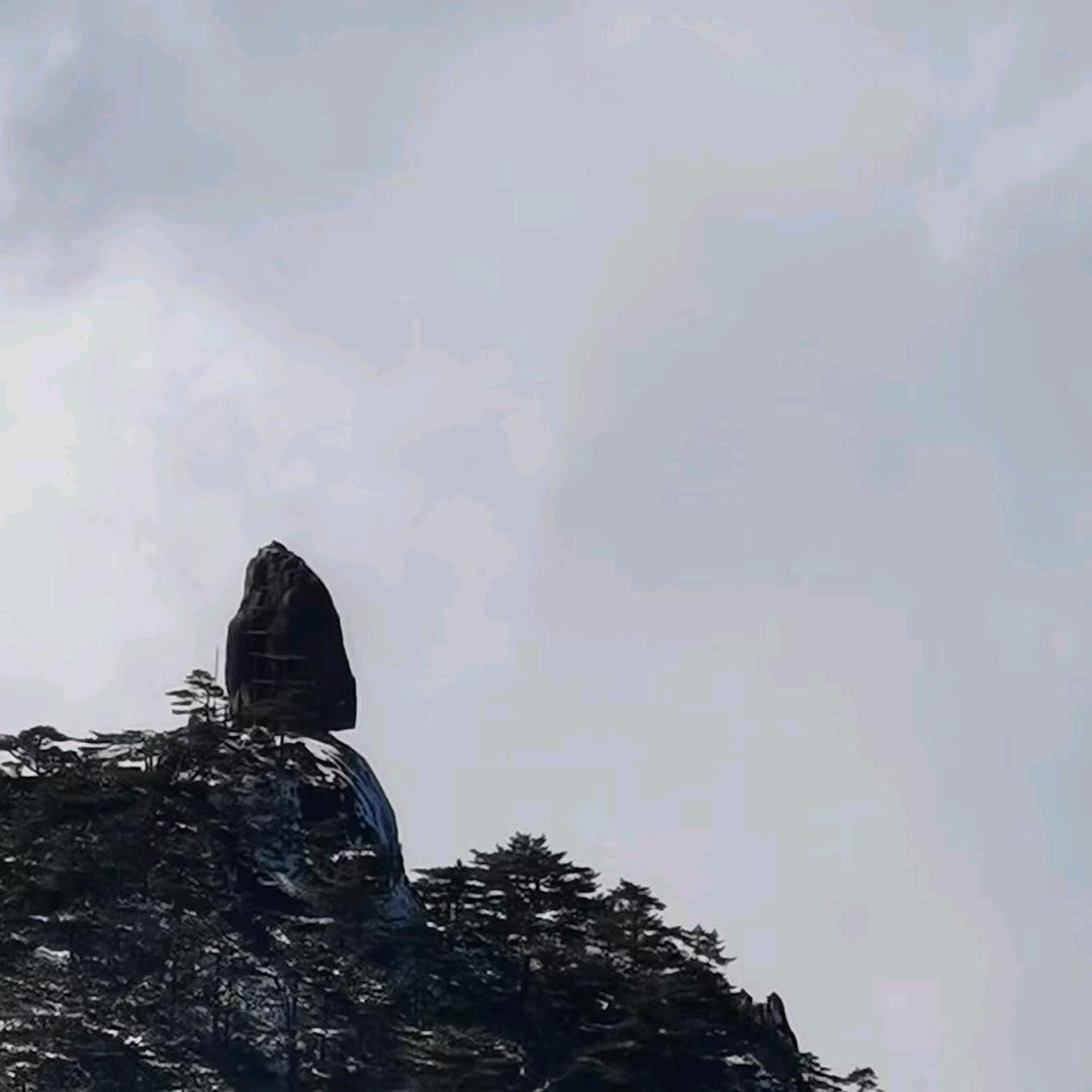 今天你好