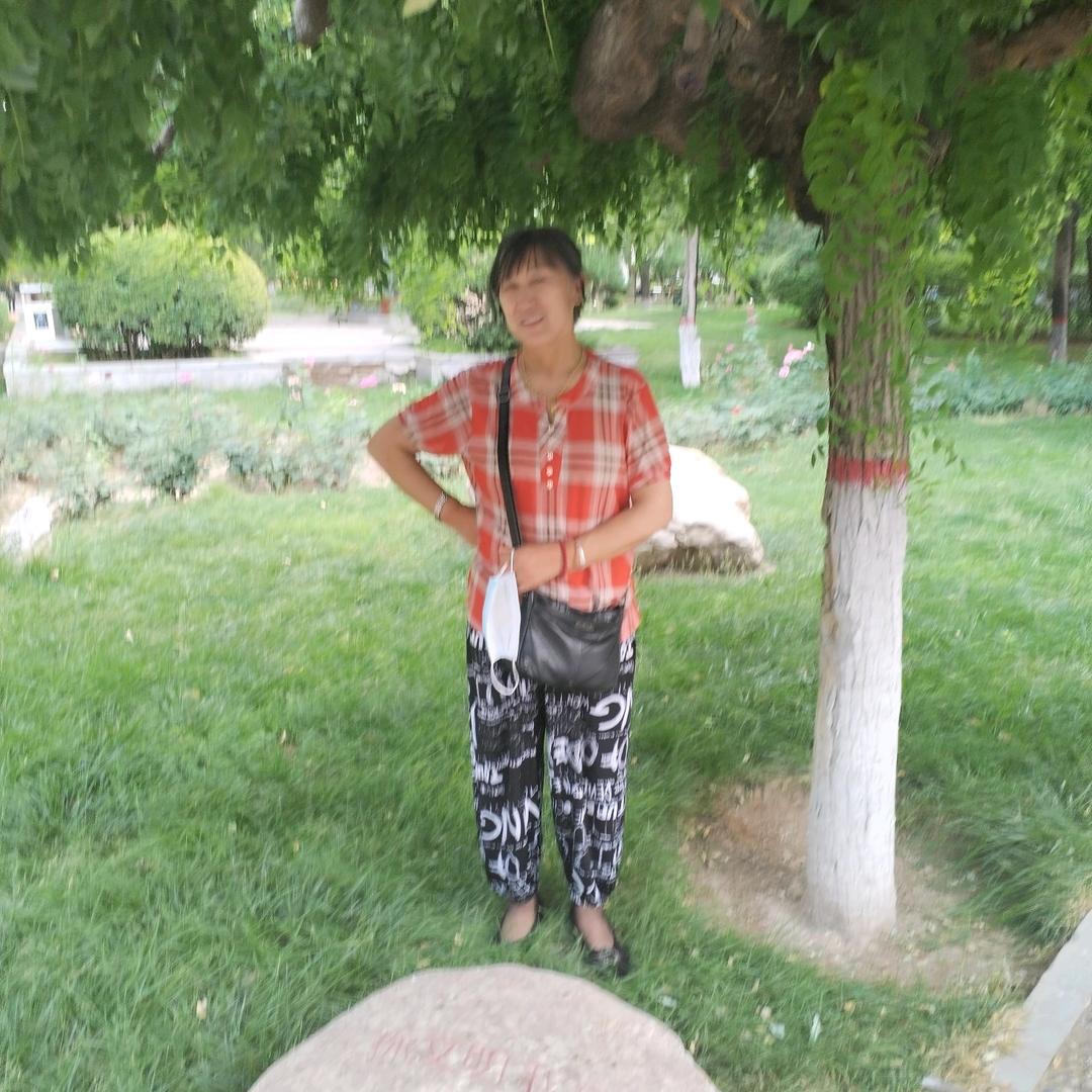 彩凤
