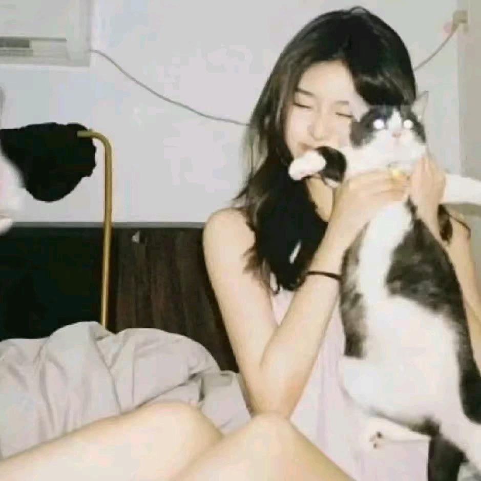 ㅤㅤㅤㅤㅤㅤㅤ.