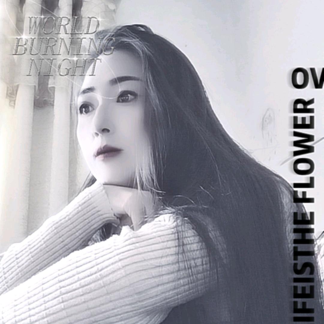 💔ꦿ໊余生᭄🕊请指教᭄ꦿᩚ٭