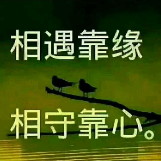你好，