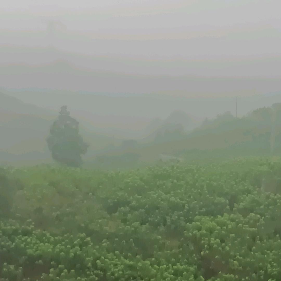 一个人