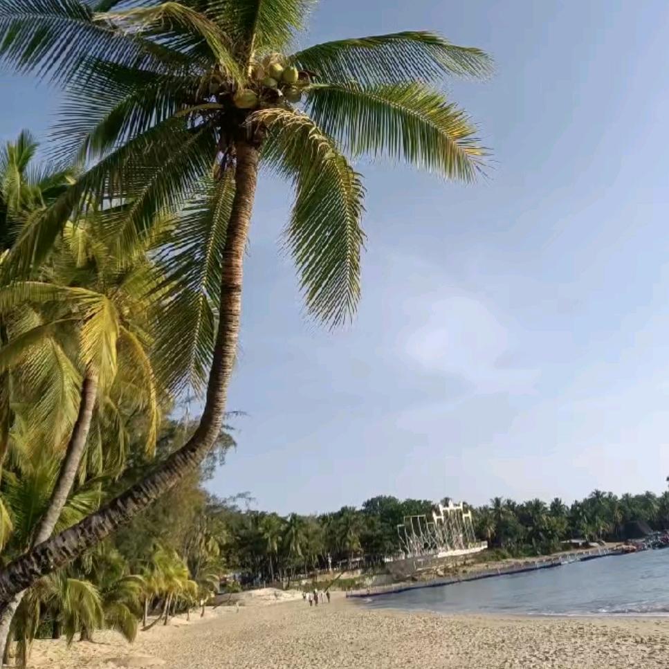 海哥