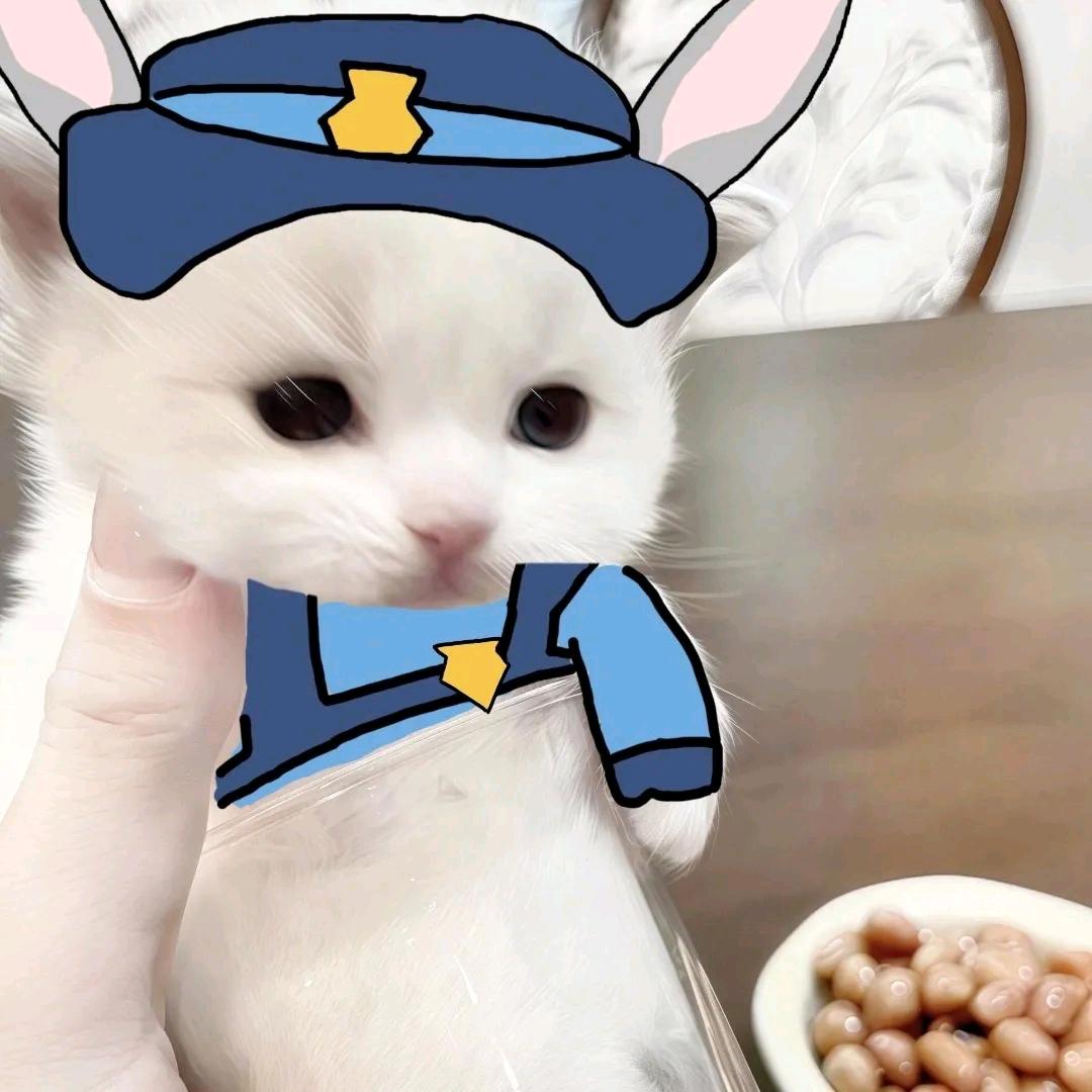 悲伤呱🐸