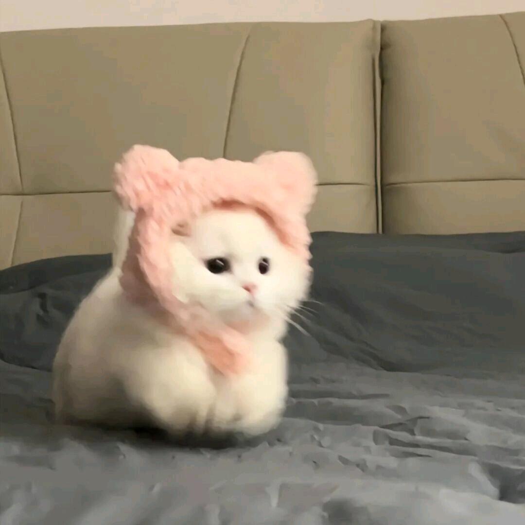 明明德