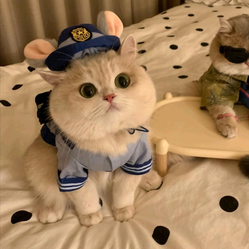 嫒欠头像