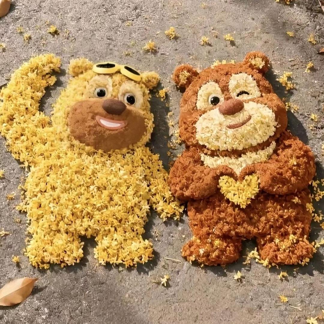 会飞的熊🐻