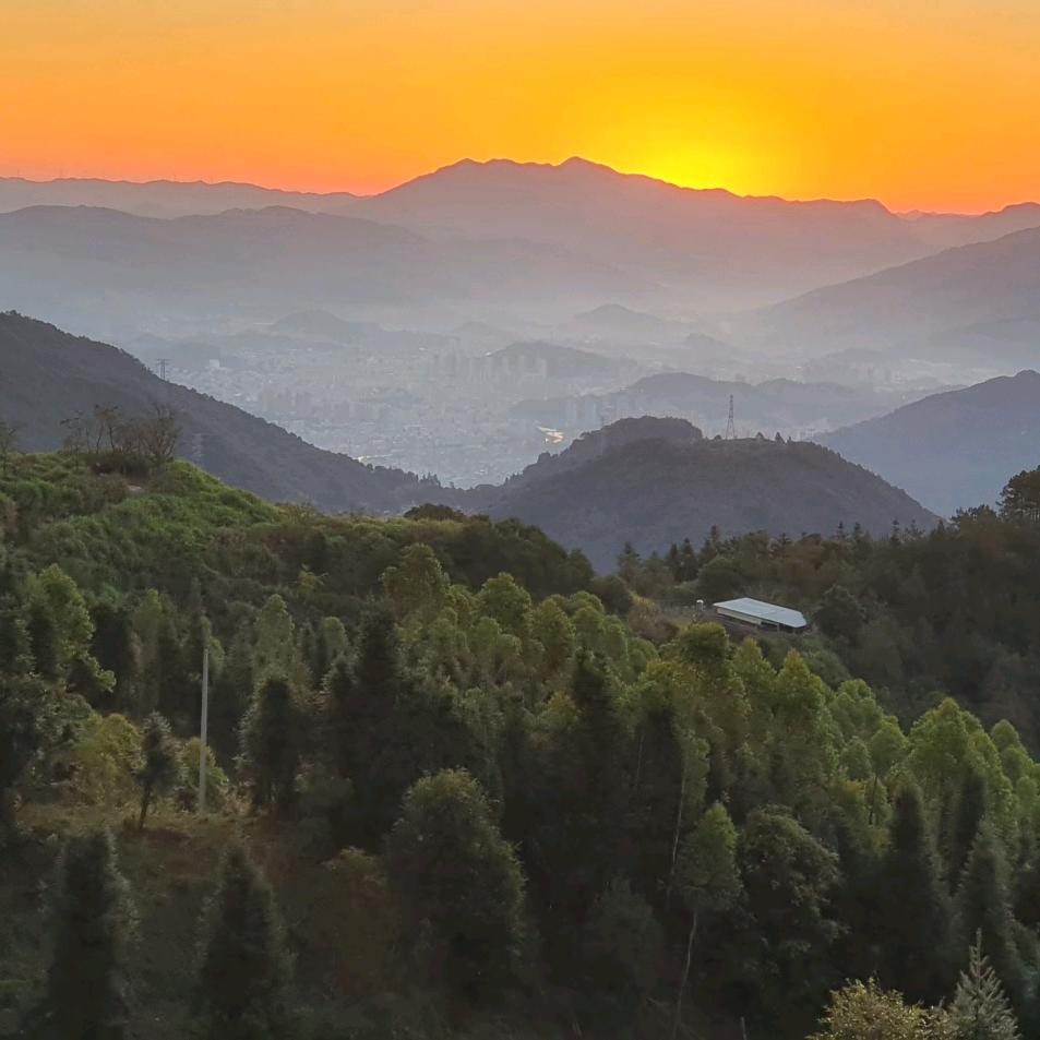 ᰔᩚ᭄简简💞ℛ单单꧔ꦿᩚ࿐🕊