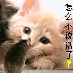 🍁沉默