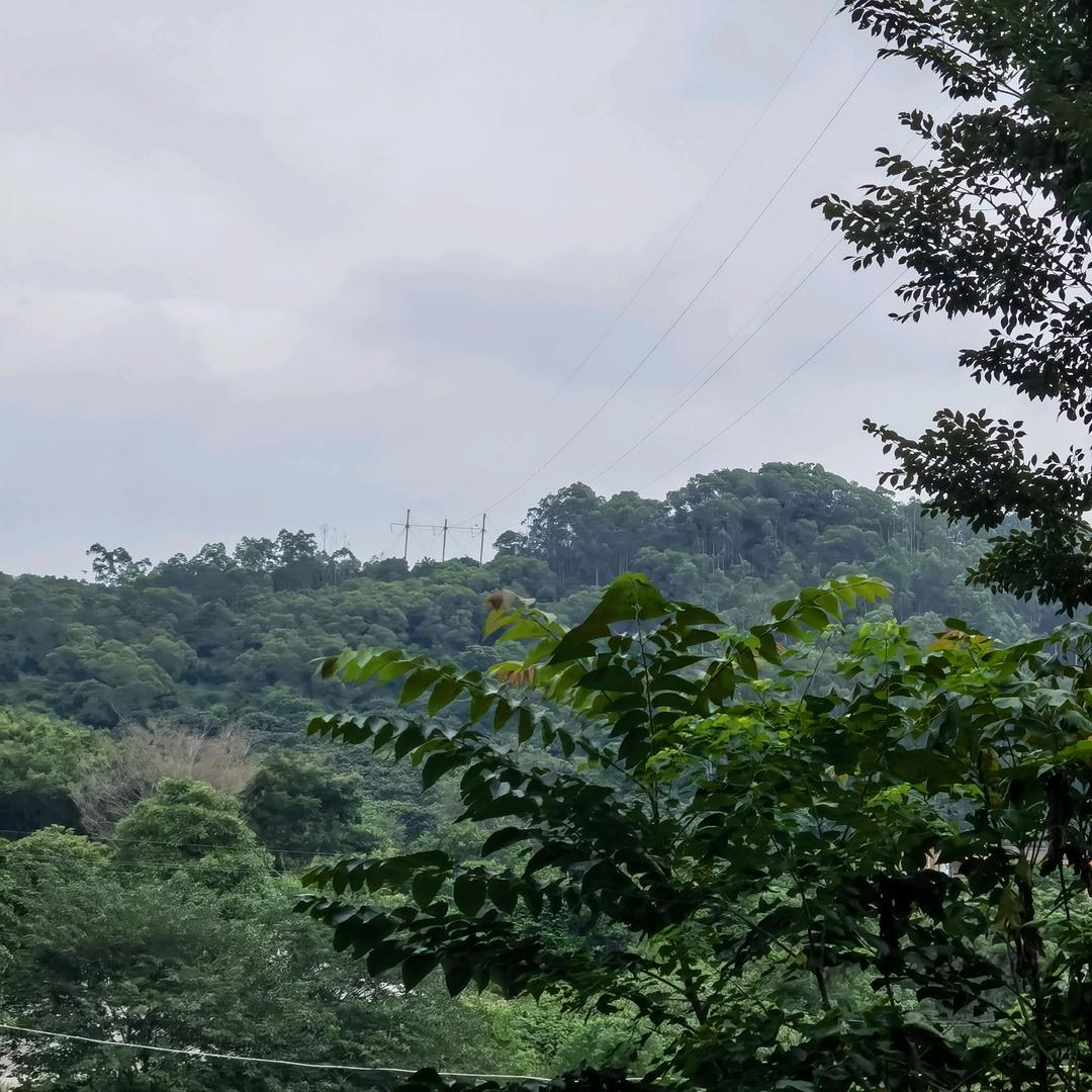 汉