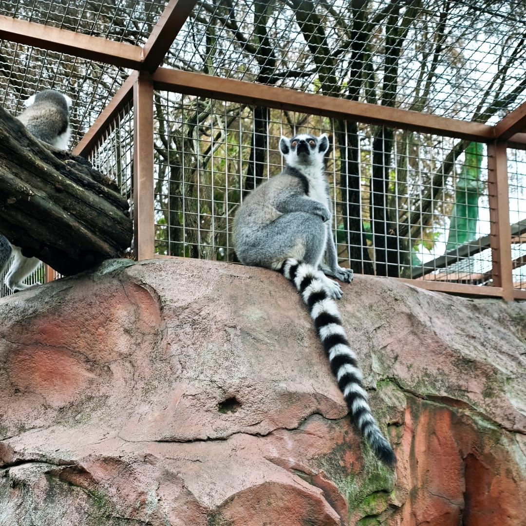 浩海立方海洋公园推荐主理人