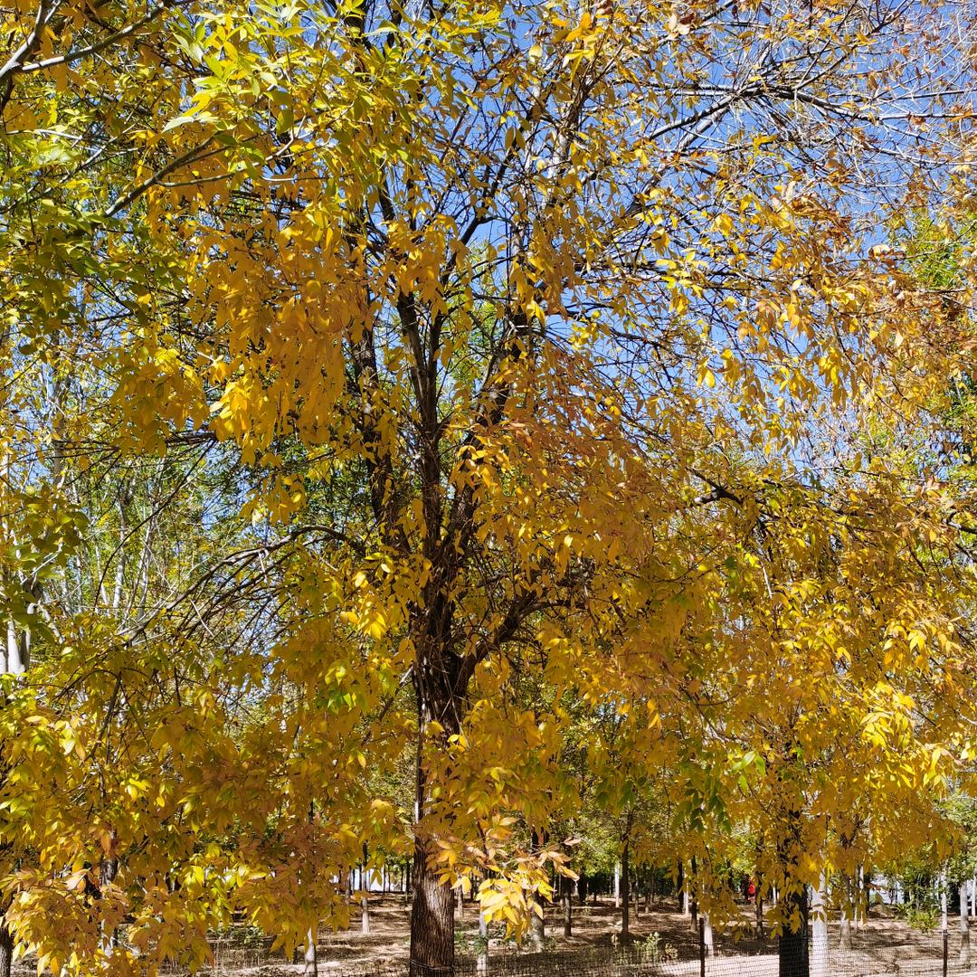 惠好家精选优质