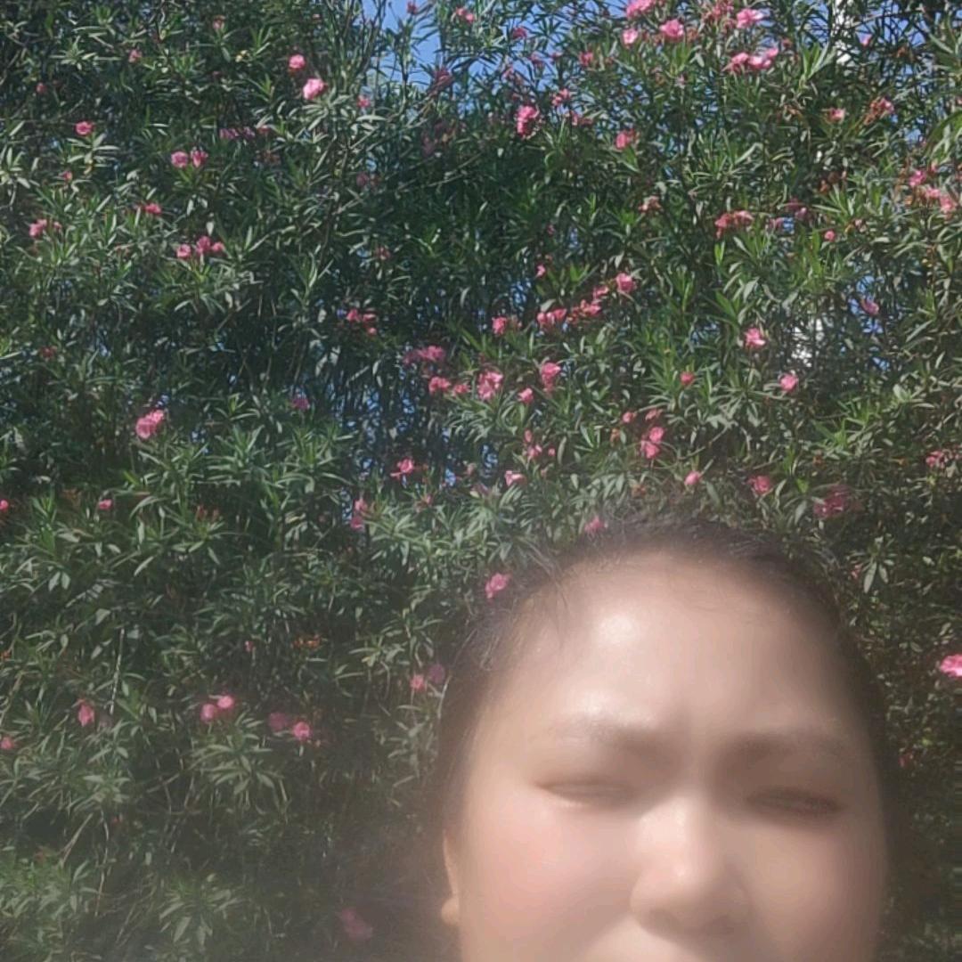 阳光明媚的夏天
