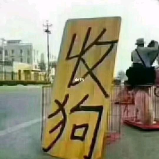 老王宠物驿站