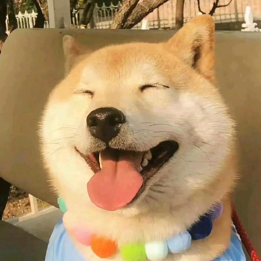 教语文的王老师