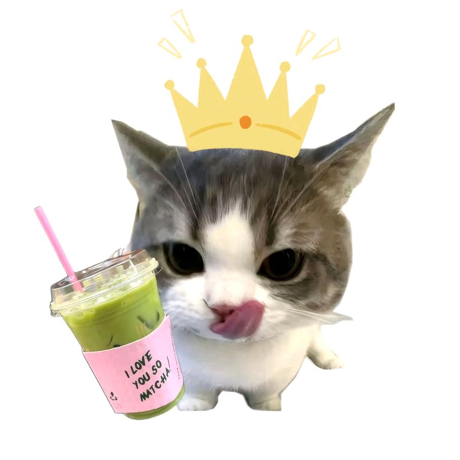 MRC小助理