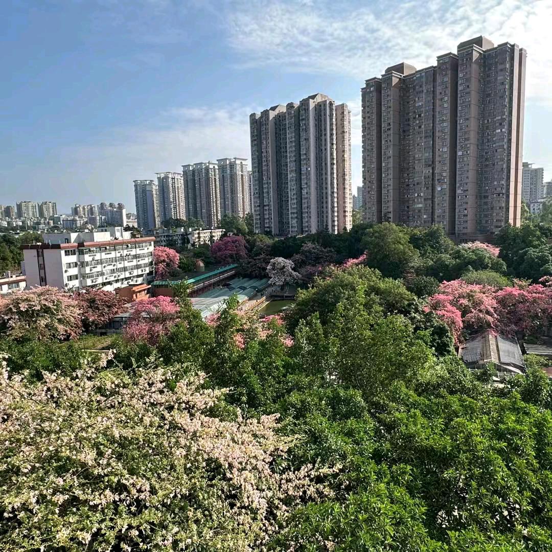 逗你开心