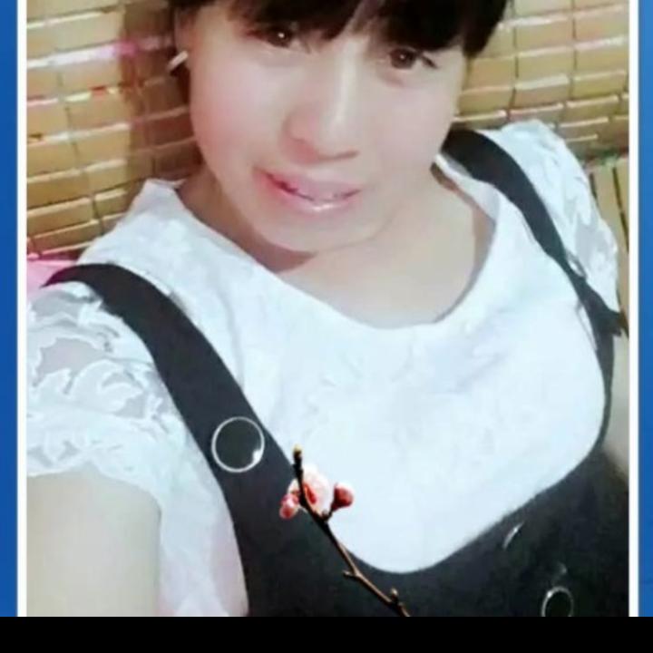 夏天带刺的仙人掌